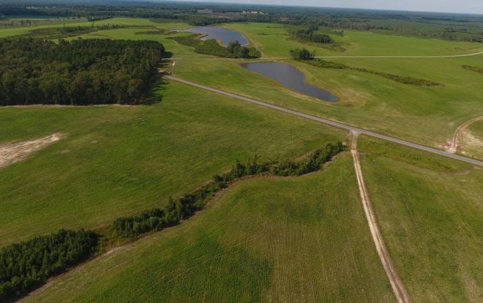 Aerial photo of empty, undeveloped green land, like Ethereum 2.0's untouched shards at launch