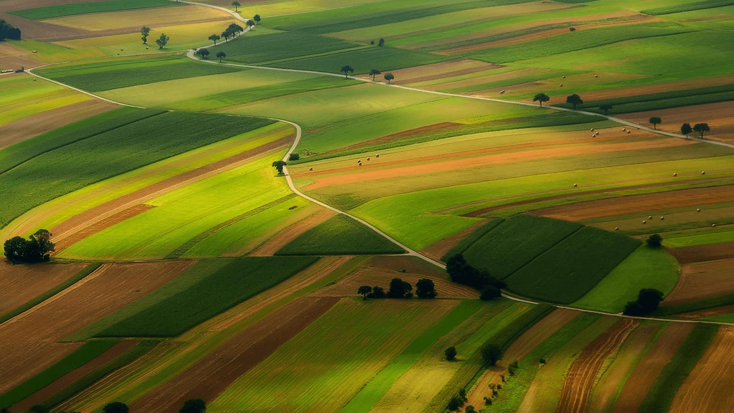 Aerial photo of open farmland with crop fields and no people in sight