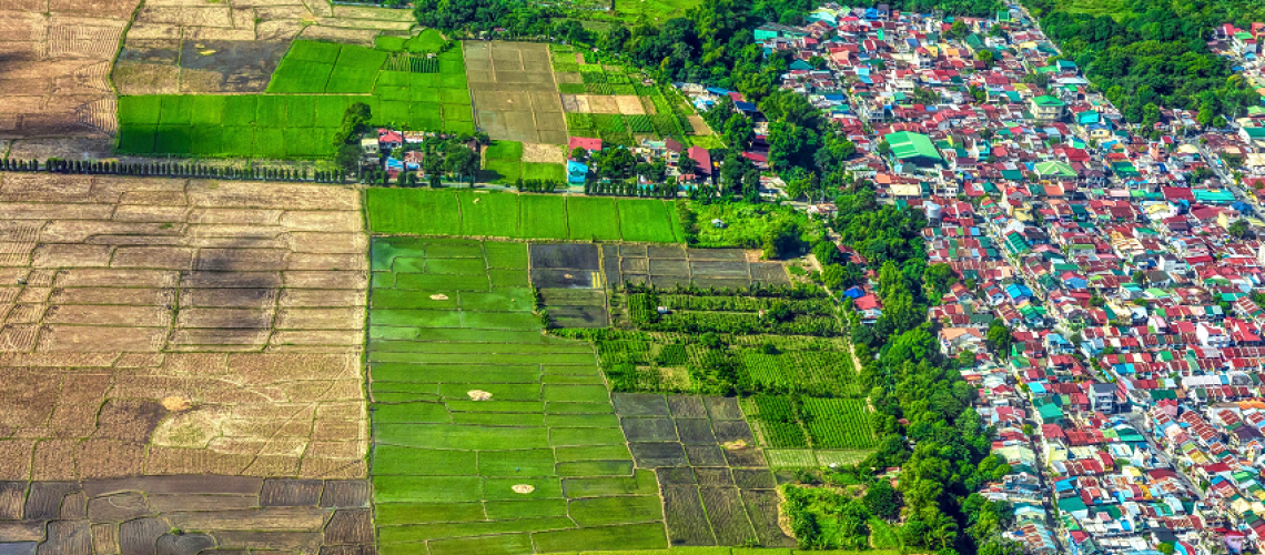 World Bank illustration of a landscape graded from dense city to towns to rural farmland
