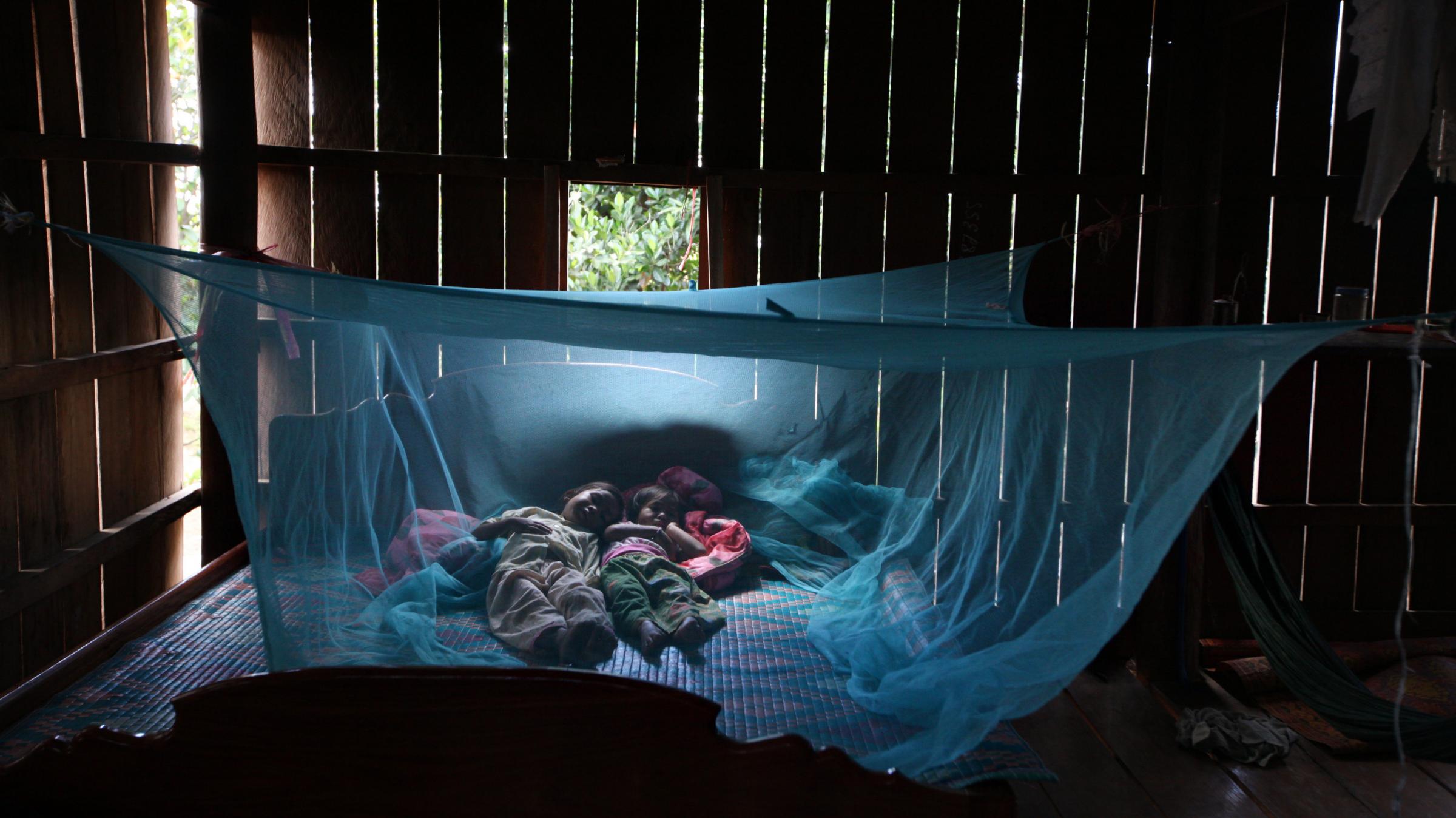 anti-malarial bednet